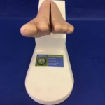Podiatric Forefoot Trainer