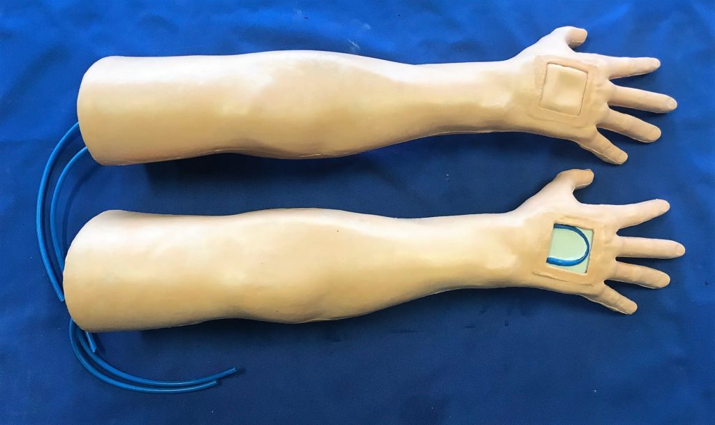 Phlebotomy Trainer / IV Access Arm Trainer | Grays Bone and Joint Models